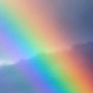 Meet your Posher, Eli